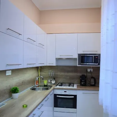 Island In The Downtown With Free Parking Debrecen