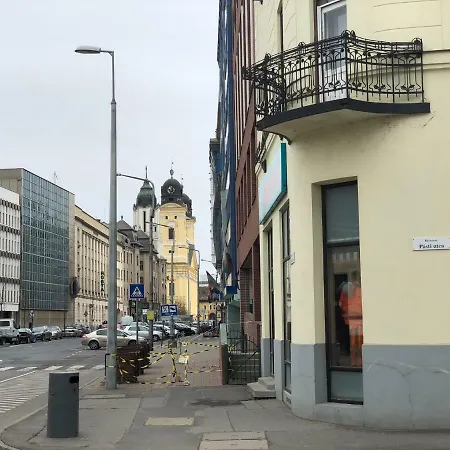 Apartment Island In The Downtown With Free Parking *