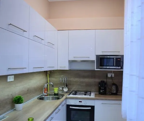 Island In The Downtown With Free Parking Debrecen